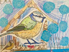 Fotografie img-9467_1_original.jpeg