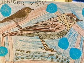 Fotografie img-9468_1_original.jpeg