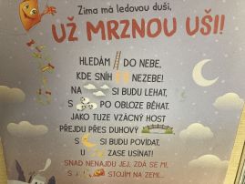 Fotografie img-9469_3_original.jpeg