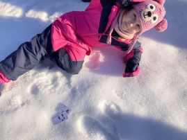 Fotografie img-9528_original.jpeg