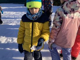 Fotografie img-9529_original.jpeg