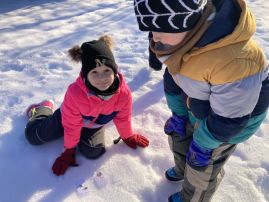 Fotografie img-9530_original.jpeg