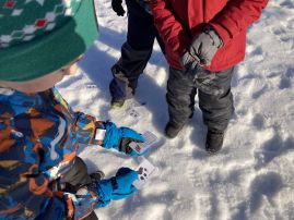 Fotografie img-9533_original.jpeg