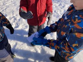 Fotografie img-9534_original.jpeg