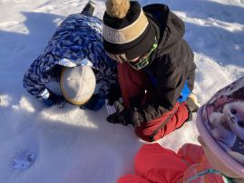 Fotografie img-9535_original.jpeg