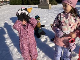 Fotografie img-9537_original.jpeg