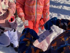 Fotografie img-9538_original.jpeg