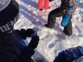 Fotografie img-9539_original.jpeg