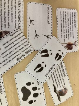 Fotografie img-9540_original.jpeg