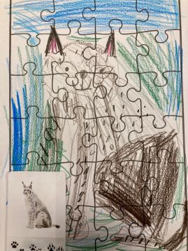 Fotografie img-9542_original.jpeg