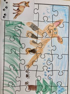 Fotografie img-9543_original.jpeg