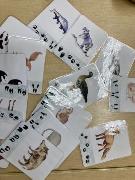 Fotografie img-9544_original.jpeg