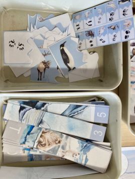 Fotografie img-9608_original.jpeg