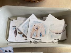 Fotografie img-9609_original.jpeg