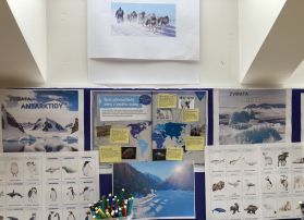 Fotografie img-9612_original.jpeg