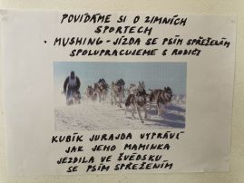 Fotografie img-9719_original.jpeg