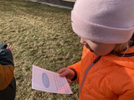 Fotografie img-9775_original.jpeg