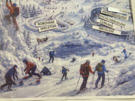 Fotografie img-9781_original.jpeg