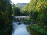 Fotogalerie Cvičení v přírodě - 5. třída, foto č. 21