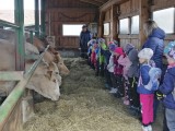 Fotogalerie Návštěva farmy zvířátek s předškoláky, foto č. 11