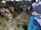 Fotogalerie Návštěva farmy zvířátek s předškoláky, foto č. 10