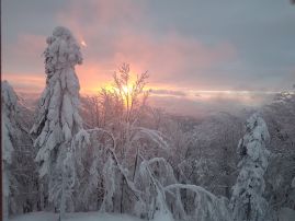 Fotogalerie Lyžák 2019, foto č. 26