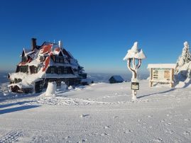 Fotogalerie Lyžák 2019, foto č. 22