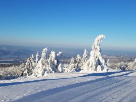 Fotogalerie Lyžák 2019, foto č. 23