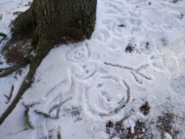 Fotogalerie Vycházka do lesa 2. třída, foto č. 12