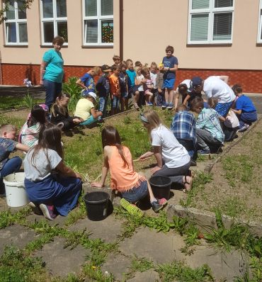 Obrázek k fotogalerii Na jaře zasadíme, na podzim sníme