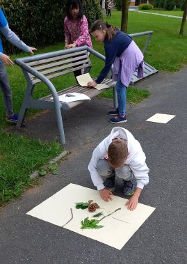 Fotogalerie Obrazy z přírodnin, foto č. 19