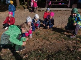 Fotogalerie Podzimní poznávací procházka, foto č. 12