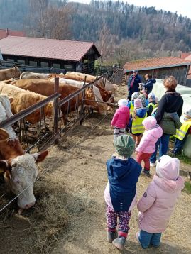 Fotogalerie NÁVŠTĚVA FARMY, foto č. 18