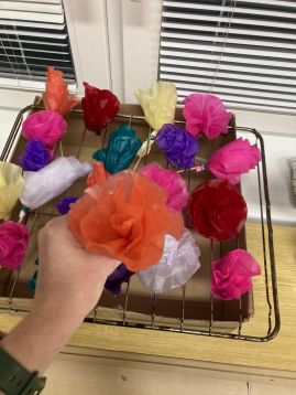 Fotografie kvetiny-_original.jpg